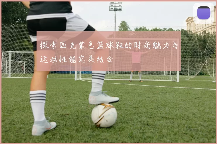 探索匹克紫色篮球鞋的时尚魅力与运动性能完美结合