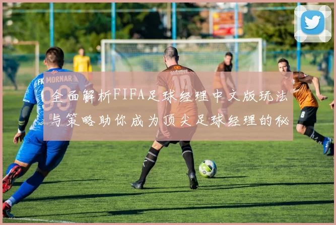 全面解析FIFA足球经理中文版玩法与策略助你成为顶尖足球经理的秘籍