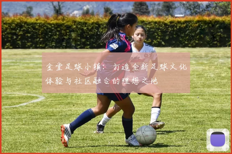 金堂足球小镇：打造全新足球文化体验与社区融合的理想之地