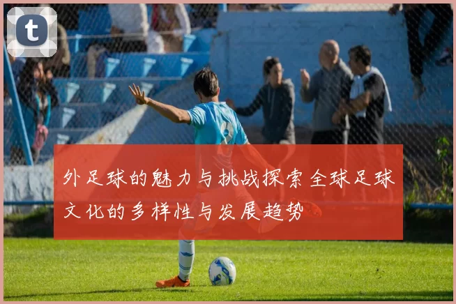 外足球的魅力与挑战探索全球足球文化的多样性与发展趋势